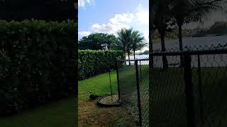 Whos On The Bird Feeder, Thats Petee.