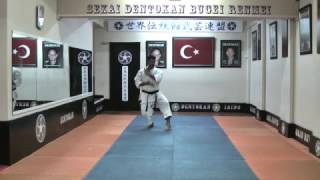 Sensei̇ - İbrahi̇m Büyük - Goju Ryu - Kata - Kururunfa