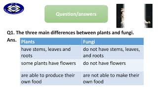 MLS Virtual Learning Grade 5 - Science in Covid-19