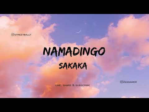 Download NAMADINGO -  SAKAKA | LYRICS