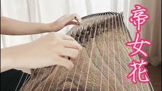 好感動啊 ＃帝女花之香夭 妝台秋思 很有韻味的一個古箏獨奏版本＃粵樂 任白戲寶 ＃Chinesemusicalinstruments＃Guzheng ＃CantoneseOpera