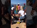 Decisive Seconds, When a Fisherman's Heart Spoke, a Miracle Happened! #Dolphin #shorts