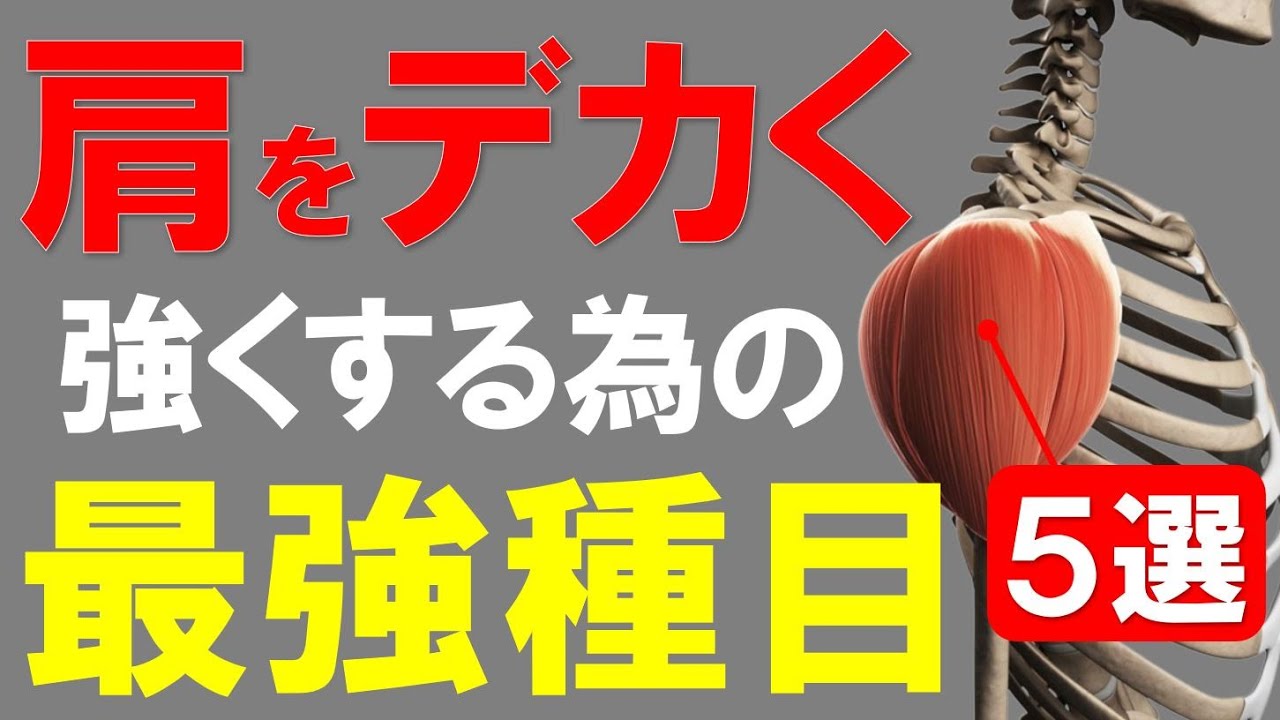 【米国運動評議会】肩がデカくなる最強種目5選　~三角筋を肥大させる種目～