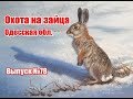 Охота на зайца | Одесская область | Выпуск №78 (UKR)