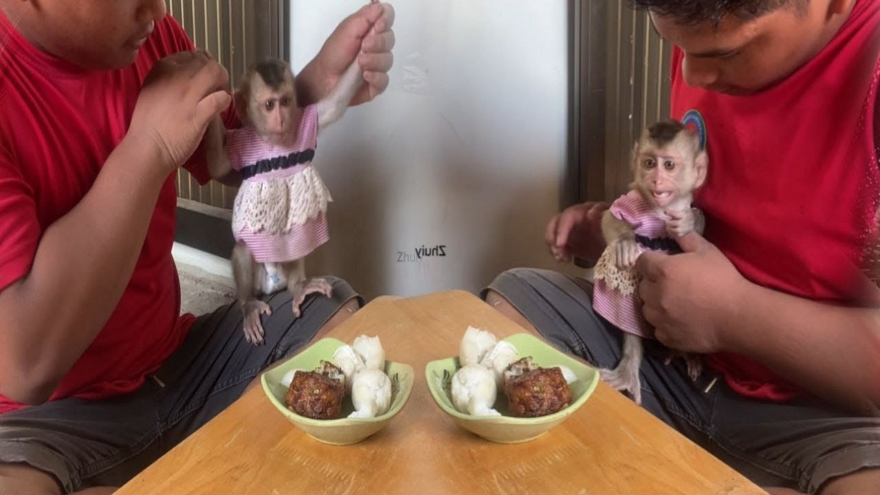 Dad !!  He is teaching zhuly to let her dance first and go eat 🍰