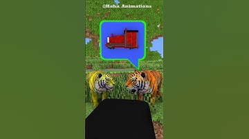 What did the two tigers see in the forest?