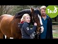 Geschenkter Gaul (Folge 63) | Tiere bis unters Dach
