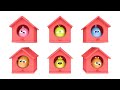 Youtube Thumbnail title