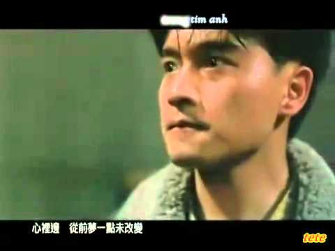 [Vietsub] 當年情 - 張國榮 | Tình Yêu Năm Ấy - Trương Quốc Vinh