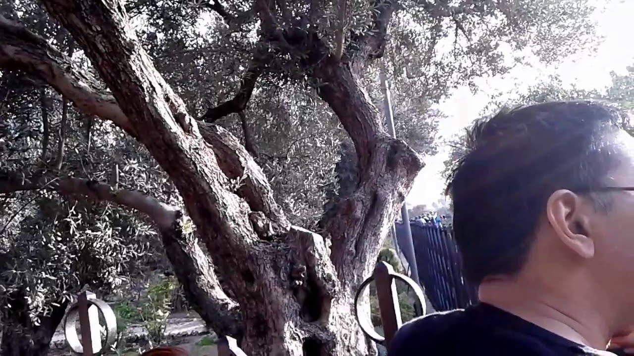 Penjelasan Pada Malam Jesus Berdoa Di Taman Getsemani