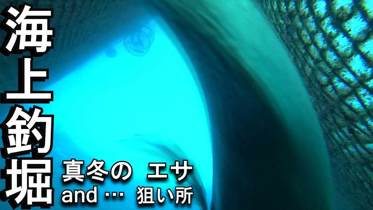 2025年、初めての釣堀動画…真冬の海上釣堀は釣りずらい日が多いです。そんな経験をされた方が結構いらっしゃるのではないでしょうか。今回厳しい真冬の釣堀を如何に攻めるか…ご参考になれば幸いです。