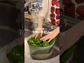 【 同棲田舎暮らし🛖🌱】初採れ野菜Vlog