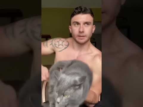 Cats bite man