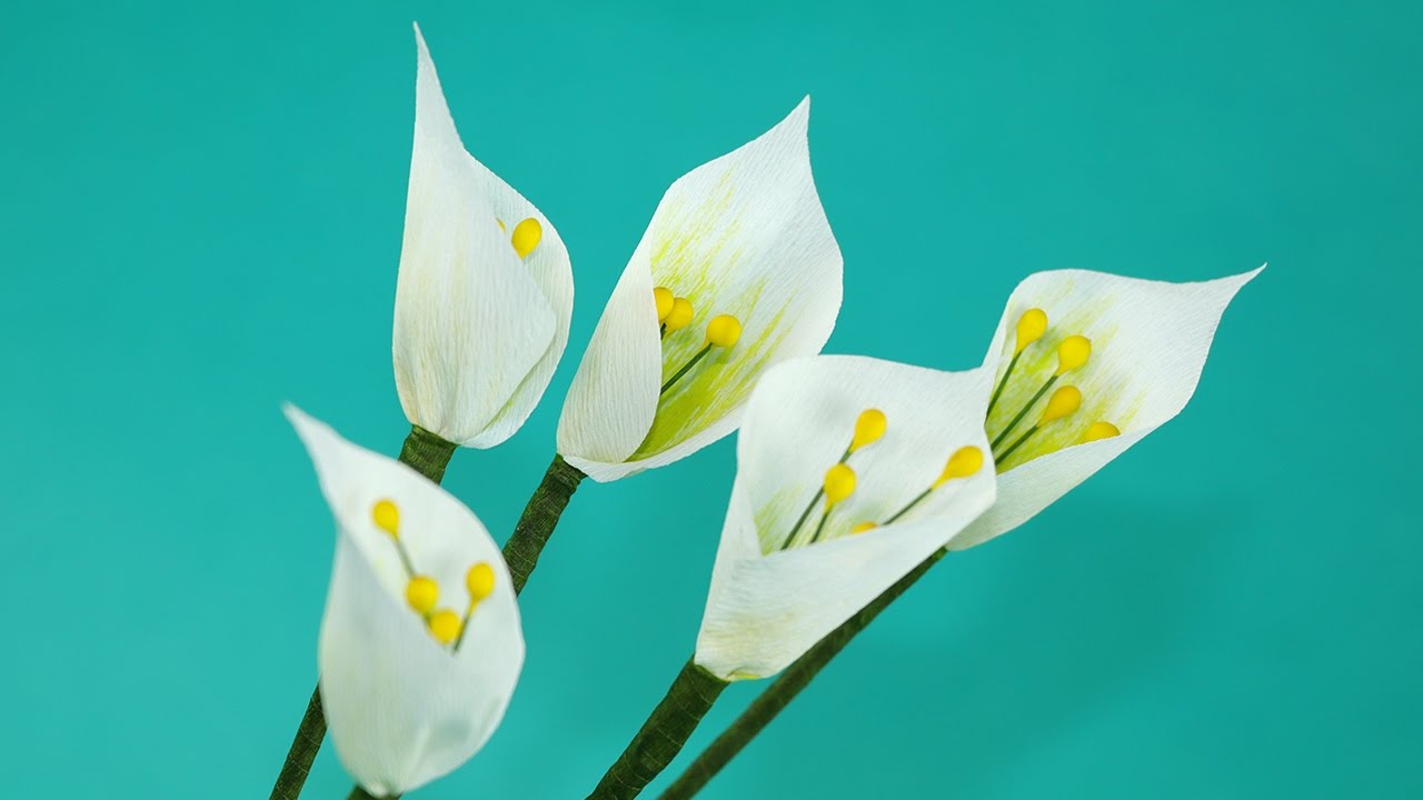 Paper Flowers - DIY White Single Leaf Flower, Very Easy Craft 