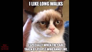 Best of Grumpy Cat 2014 || HAPPY NEW YEAR!!