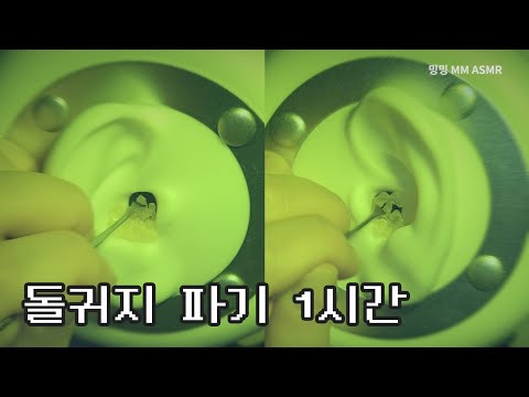 [ASMR] 쇠귀이개, 돌귀지, 한 시간/ Metal earpick, Stone earwax, 1 hour/ No Talking