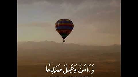 تلاوه خاشعه | بصوت القارئ احمد النفيس | حالات واتس اب دينيه♥♥.