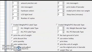 RLS1000 BARCODE LABEL SCALE (SET LOCK PRICE BUTTON)