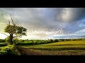 تلاوة للقارئ عبدالله المالكي من سورة مريم