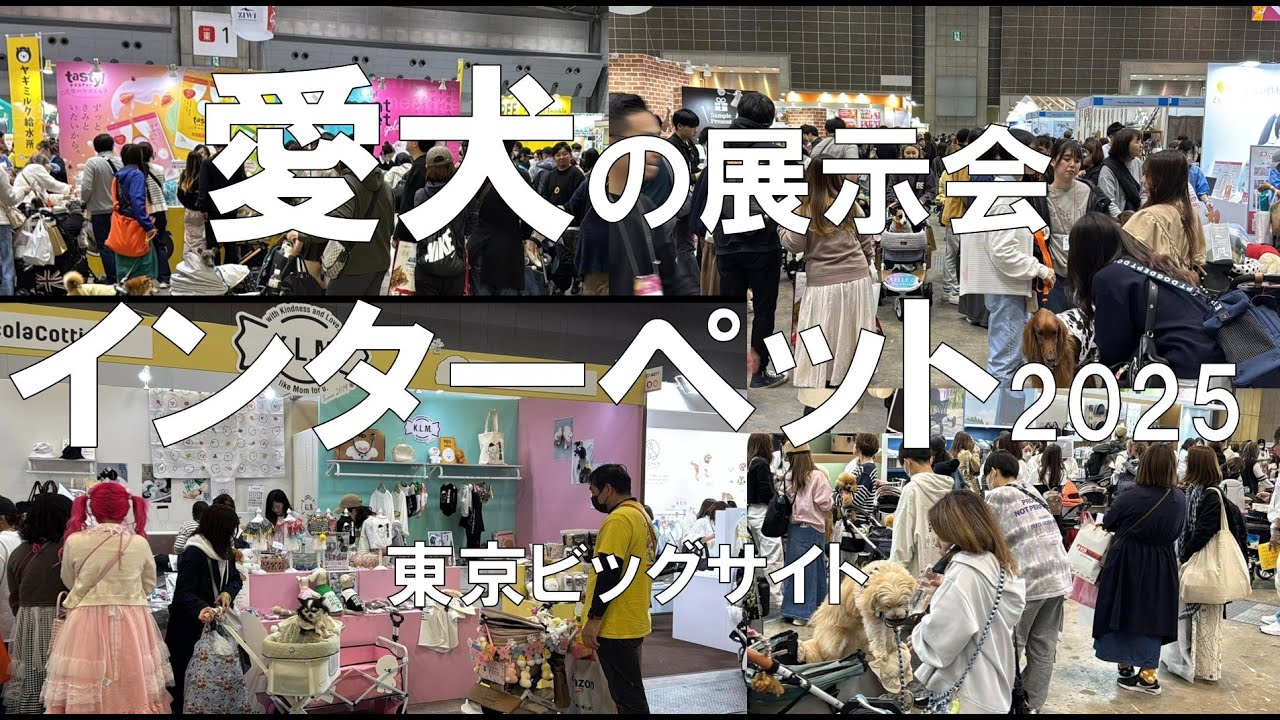 インターペット2025（愛犬の展示会）・東京ビッグサイト・展示会営業術