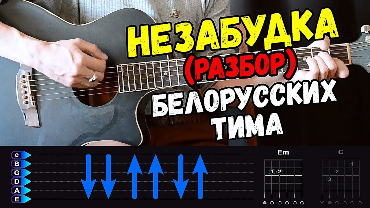 Незабудка на гитаре. Тима белорусских Незабудка на гитаре. Незабудка табы. Тима белорусских аккорды.