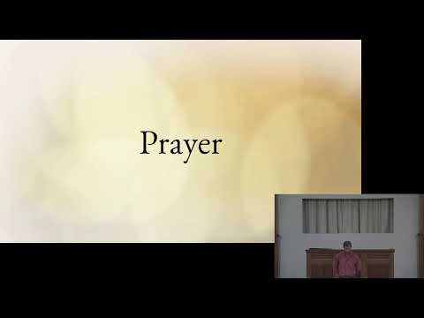 Video preview