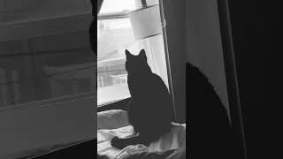 No One Comes Before My Babys This Is Their Home And My Kids Feel The Same Way