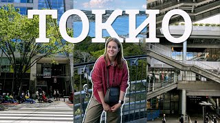 Япония | Первый дни в Токио: много еды, Шибуя и поездка в Камакура | с вами настя