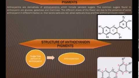 Mod-01 Lec-26 Lecture-26 Natural Dyes