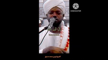 سورة الأحزاب الشيخ نورين محمد صديق #سورة #reels #viral #الله #تلاوات #القرآن #quran #تلاوة #اللهم