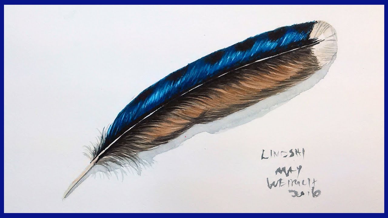 Blue Jay Feather In Watercolor Full Tutorial Youtube