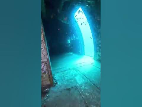 Batmış bir uçakta ceset bulmak… #horrorstories #planecrash #scary #