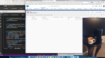 Alexa Skills - Salesforce Integration