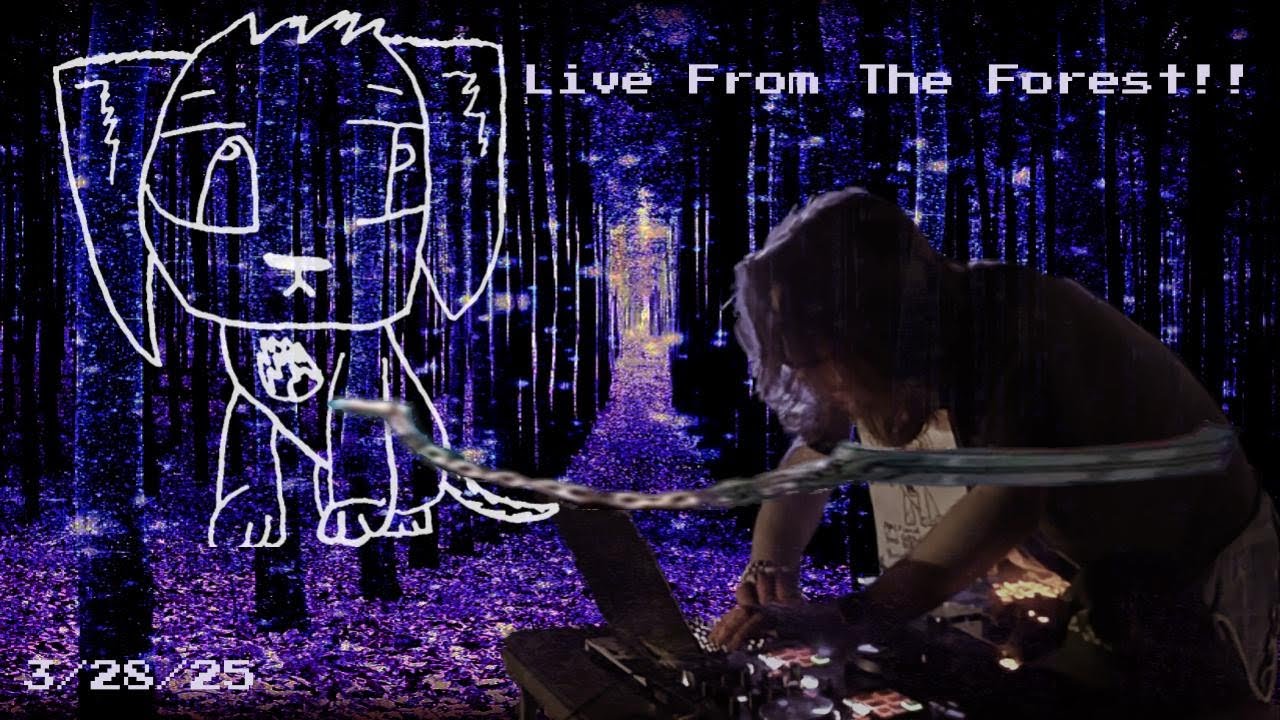 Clayton Sanders | Live Experimental Electronics Set | at "The Forest"" (Drone, Phonk, Noise...)