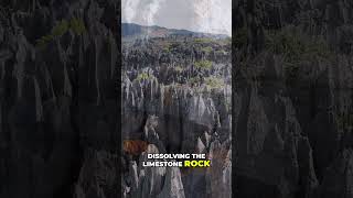 Shilin Stone Forest: Earth's Ancient Sculptures Revealed #shorts