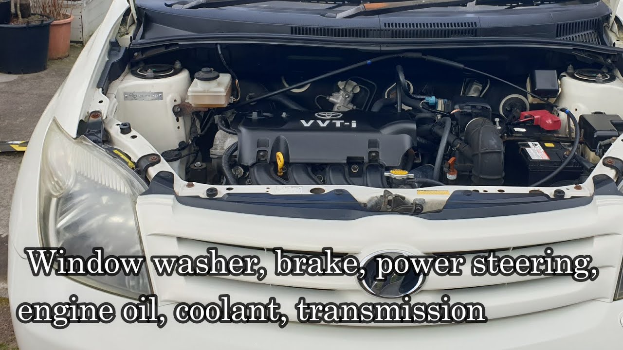 Toyota ist fluid locations (2023 - video update)