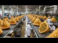 Inside the Samosa Factory | Mass Production of Crispy Samosas | How It's Made