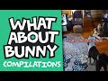 Thanksgiving Fires and "Play Talk" | What About Bunny