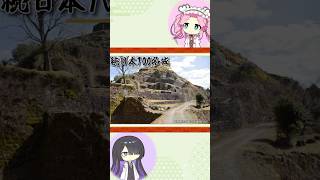 shorts Japanese Castle Quick Guide #40 The Continued 100 Fine
