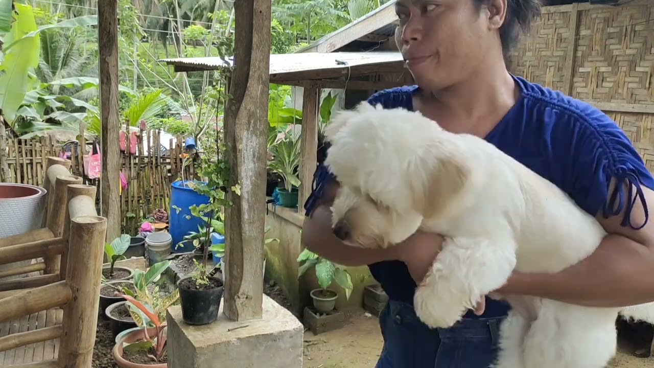 HINDI NA OKAY DITO SA PAYAG 😢😢😢