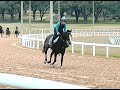 Feb 3 23 Ocala Mitzi and Day Tripper