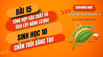 Sinh Học 10 - Bài 15: Tổng Hợp Chất Và Tích Lũy Năng Lượng | Chân Trời Sáng Tạo