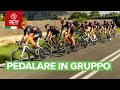 Come pedalare in gruppo divertendosi e andando forte | Come fare