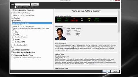 How to Start a Simulation in Automatic Mode - LLEAP