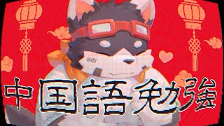 【中国語勉強】せっかく進めてたのにリセットされちゃった【Duolingo】