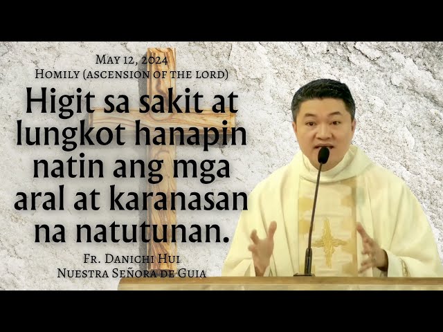 HUWAG MAIWAN SA SAKIT AT PAIT NG BUHAY - Homily by Fr. Danichi Hui May 12, 2024 (Ascension of Jesus) class=