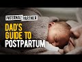 Dads guide postpartum for new fathers