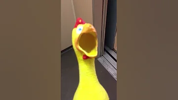 Most Annoying Sound In The World 