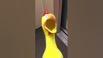 Thumbnail of Most Annoying Sound In The World
