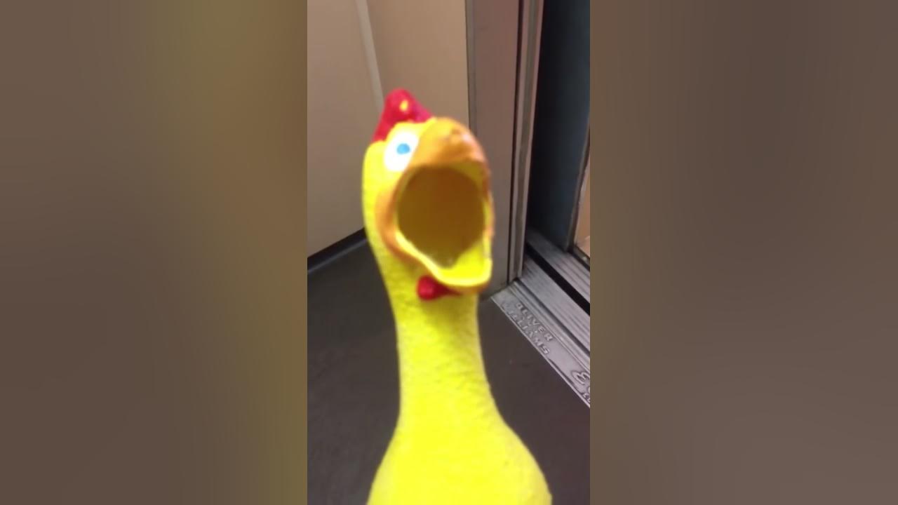 Most Annoying Sound In The World Most Annoying Sound In The World
